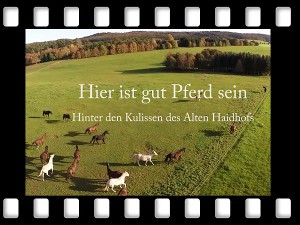 Film Haidhof